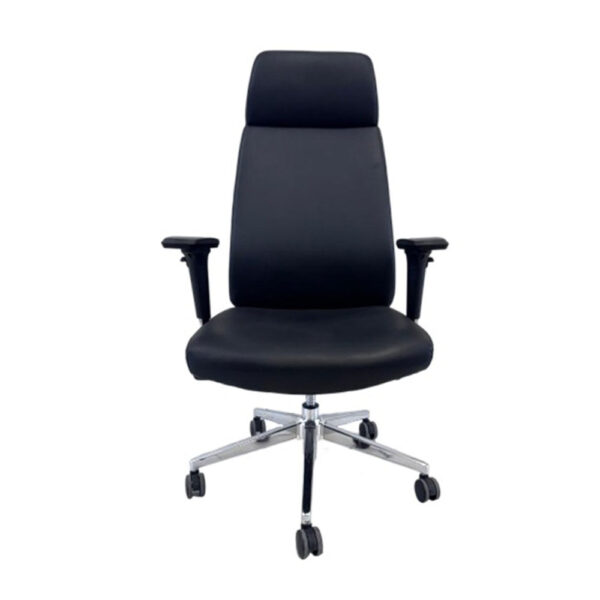 Eldo Pro RFK-XA8878 High Back Leather Chair - Image 3