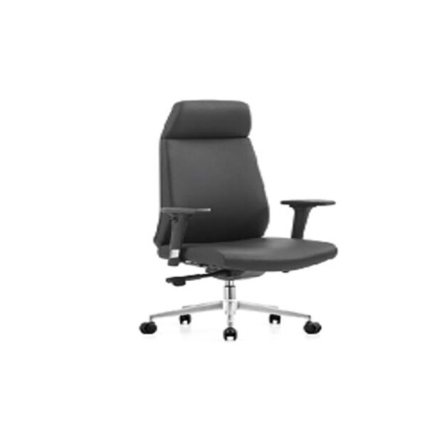 Eldo Pro RFK-XA8878 High Back Leather Chair