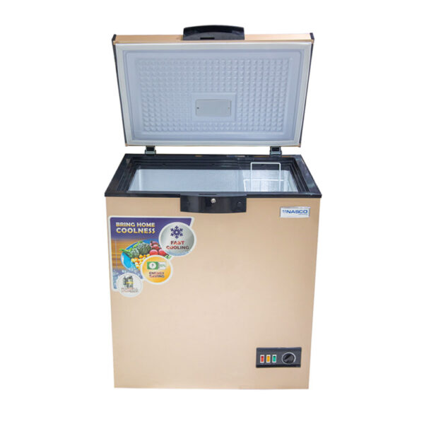 Nasco Freezer 150 Ltr Net Gold Lock and Key - Image 2