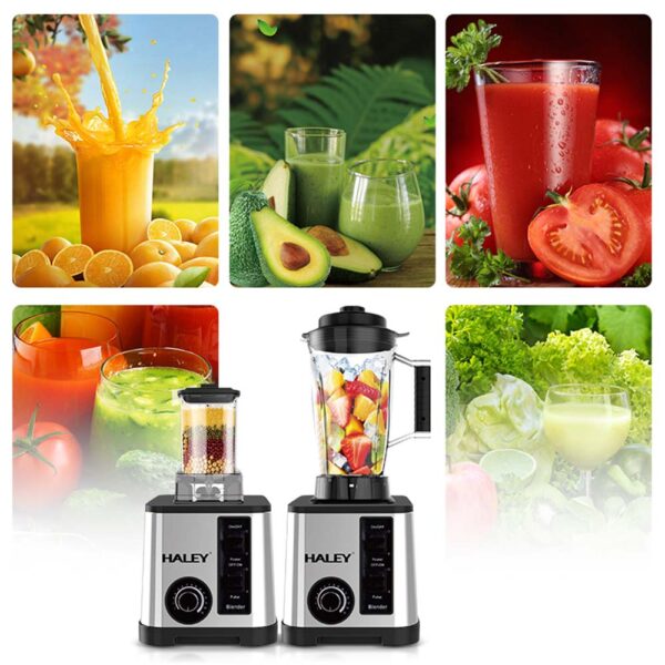 Haley Blender 2 Jar 5500 Watt - Image 2
