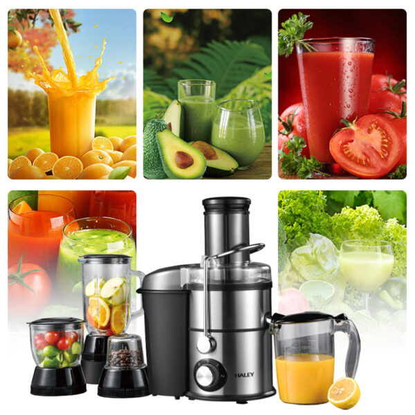 Haley Juicer 4 in 1 Jars 1800 Watt - Image 2