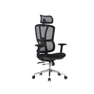 Eldo Ergonomic Mesh Office Chair