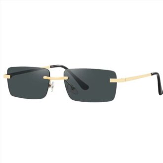 Green Lion Vallegio Sunglasses - Black