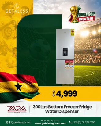 Zara Fridge Bottom Freezer 300 Ltrs Water Dispenser Silver