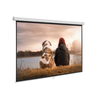 Burotika BW18-244 244cmx244cm Wall Screen