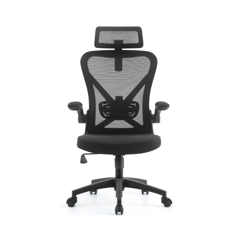 Eldo Mesh and Plastic Frame Seat Foam Chair