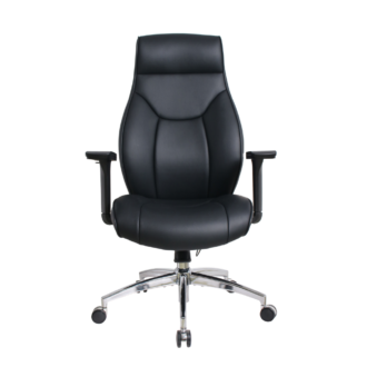 Eldo leather Injected Foam 3D Armrest Line Seat and Back Chair