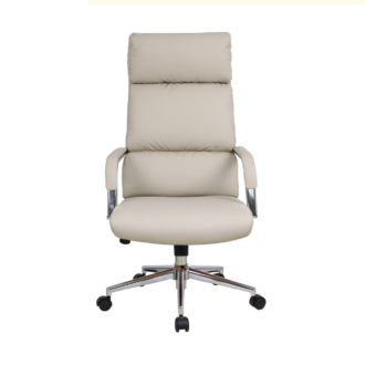 Eldo Fixed Chrome Armrest Backrest and Seat Chair